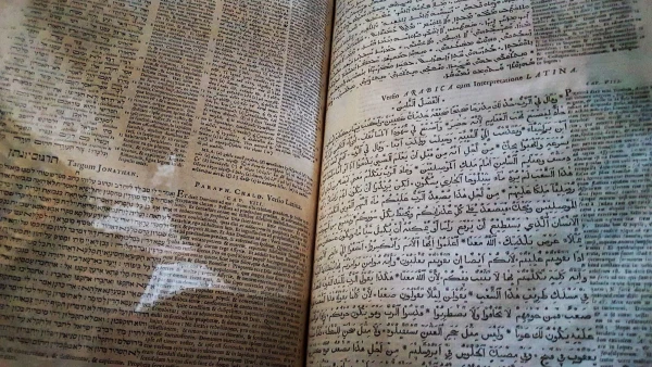 Библия, написанная на 8 языках