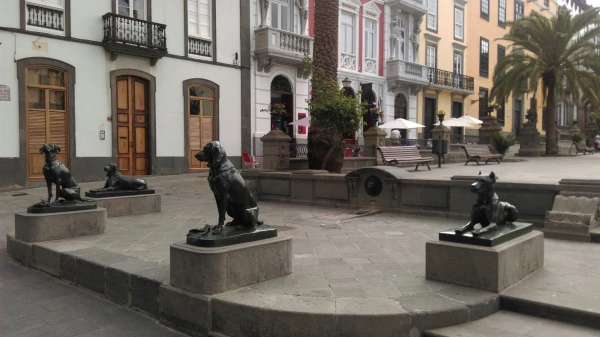 Plaza de Santa Ana и канарские собаки... Те самые...