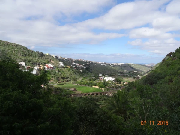 Jardín Botánico Canario