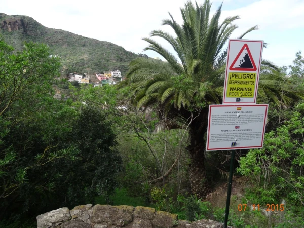Jardín Botánico Canario