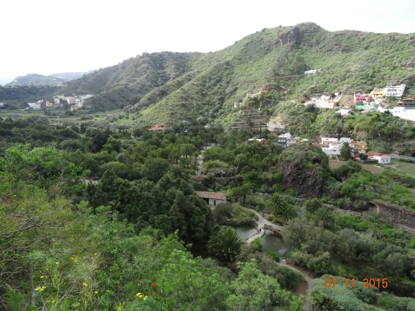 Jardín Botánico Canario