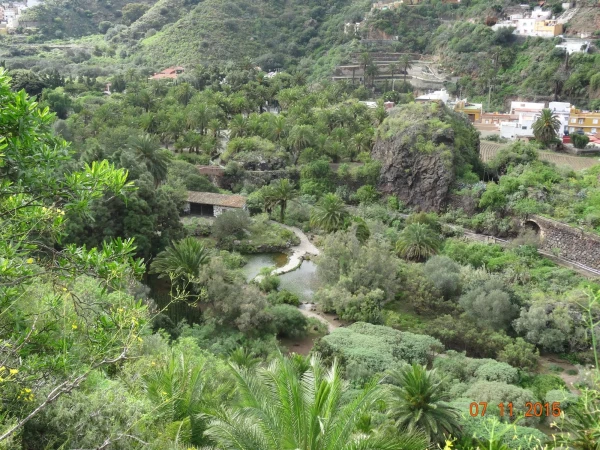 Jardín Botánico Canario