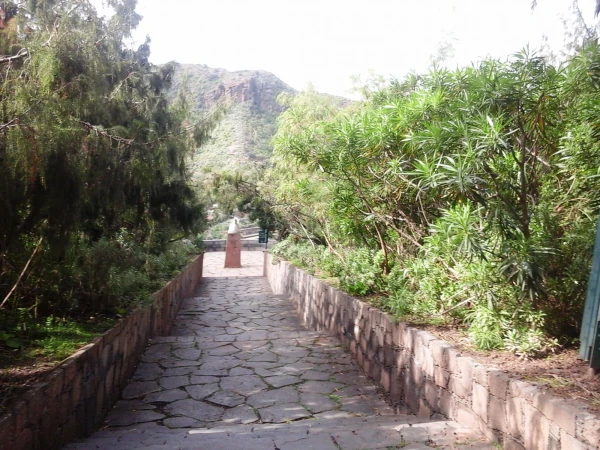 Jardín Botánico Canario