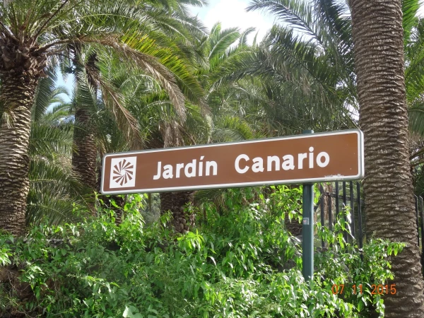 Jardín Botánico Canario... Вход со стороны Carretera del Dragonal...  "Нижний"...