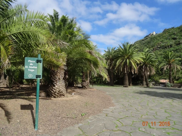 Jardín Botánico Canario