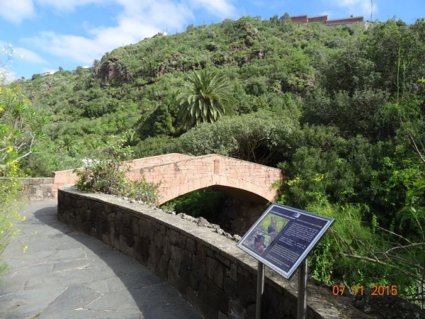 Jardín Botánico Canario