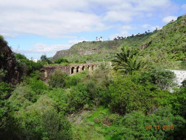 Jardín Botánico Canario