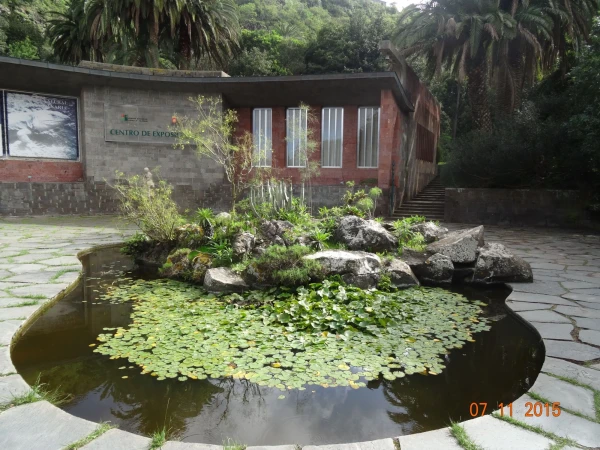 Jardín Botánico Canario