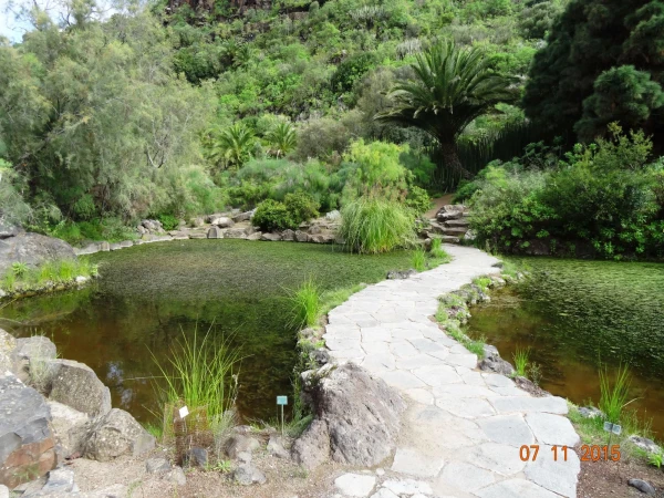 Jardín Botánico Canario