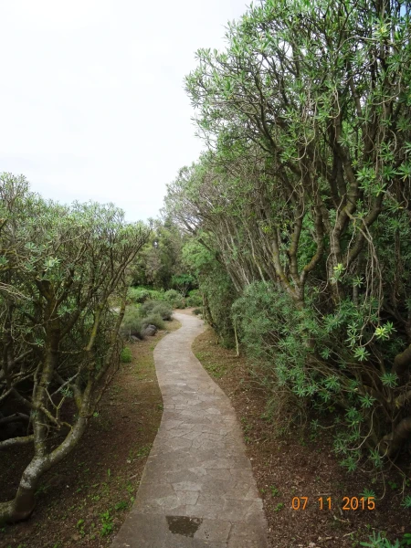 Jardín Botánico Canario