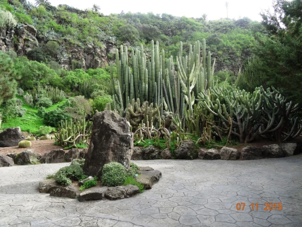 Jardín Botánico Canario