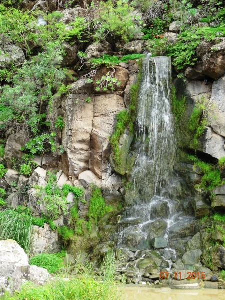 Jardín Botánico Canario