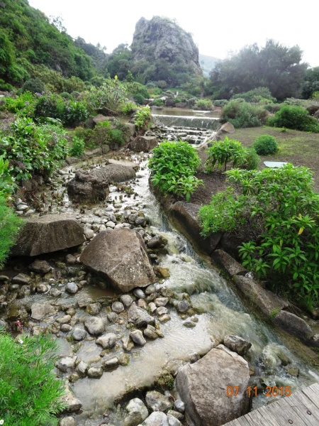Jardín Botánico Canario