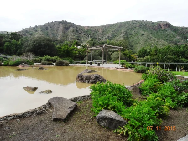 Jardín Botánico Canario