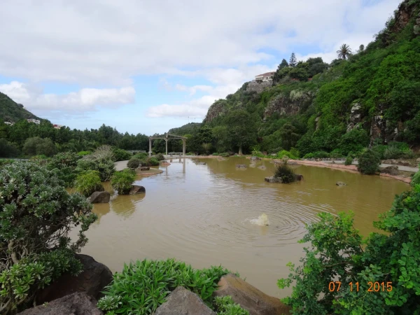Jardín Botánico Canario