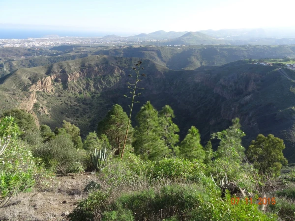  Pico de Bandama 