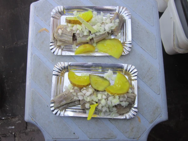 Селёдка с репчатым луком и маринованным огурцом. Ничего особенного!