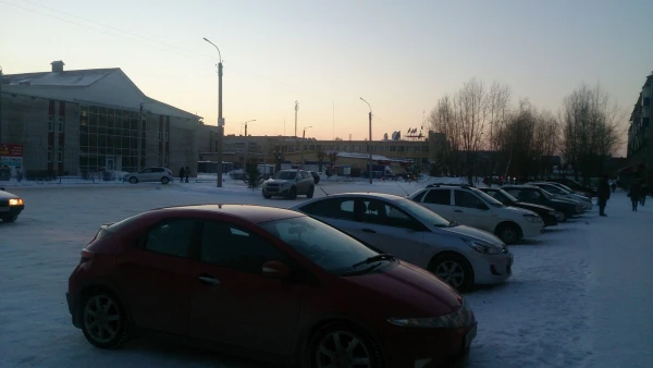 оса
