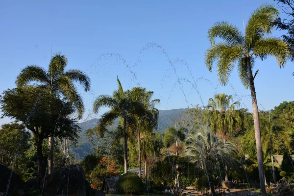 Mae Fah Luang Garden - сад цветов