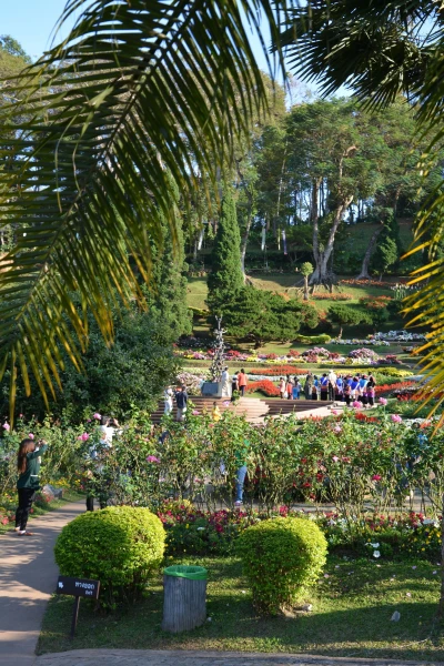 Mae Fah Luang Garden - сад цветов
