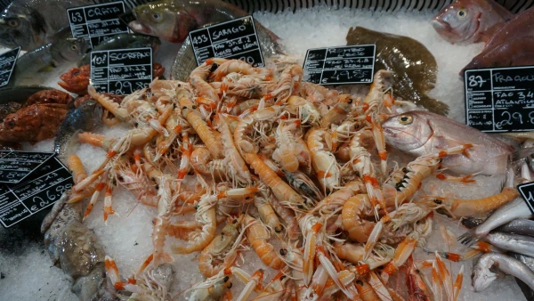 Супермаркет еды EATALY