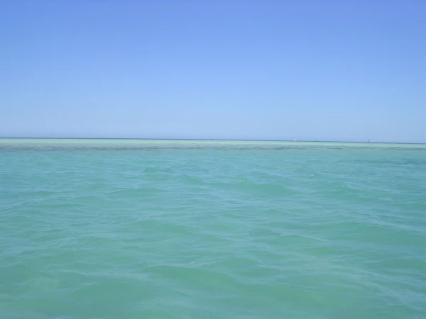 Ласковое море