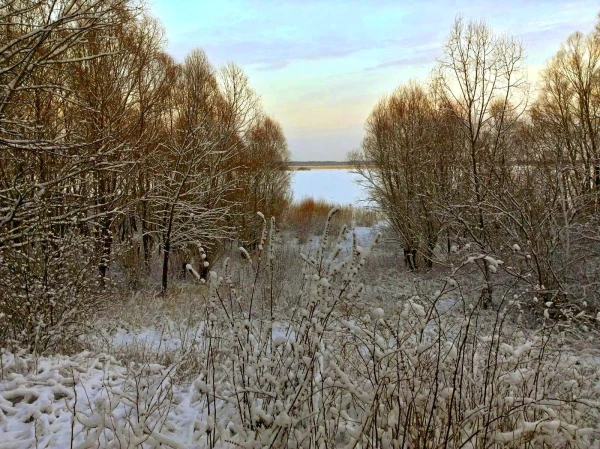 На острове
