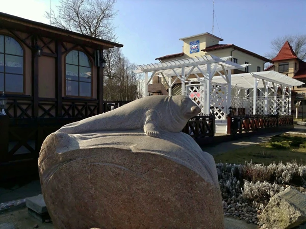 Зеленоградск. Серый балтийский тюлень