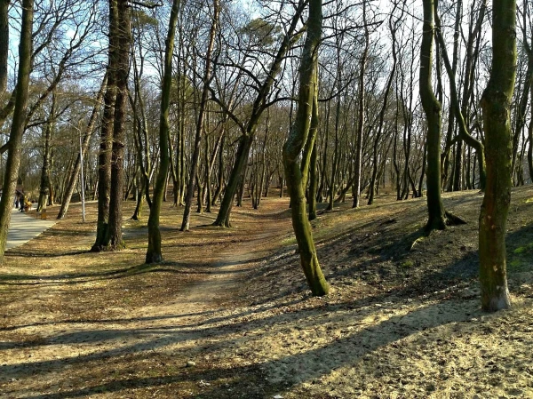 Зеленоградск