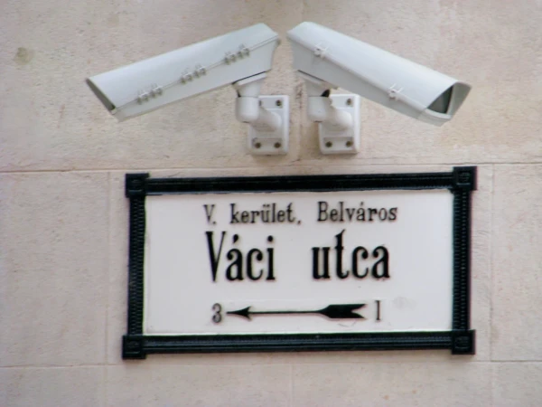 Утка Васи))) улица Ваци