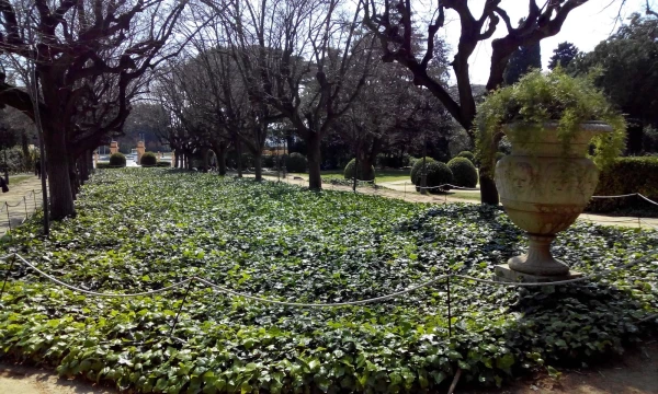 Parc de Pedralbes