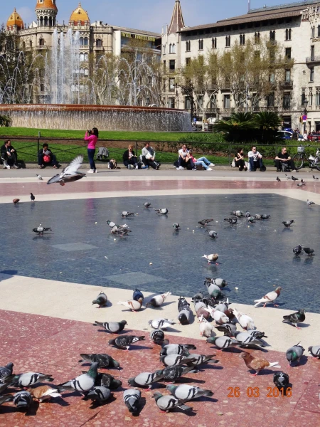 Plaça de Catalunya: конечно же!