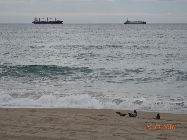 Platja del Milracle