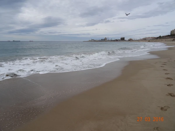 Platja del Milracle