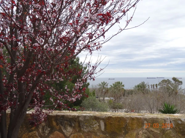 Passeig Marítim Rafael Casanova