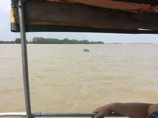 В далеке на кочке расположилась цапля