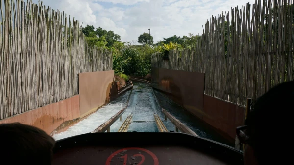 Речное сафари. Amazon River Quest