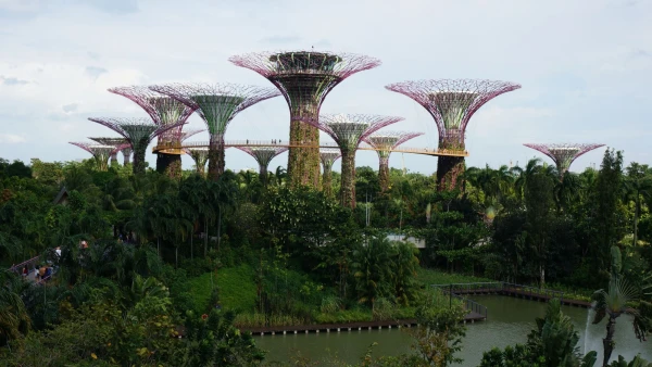 Сады Gardens by the Bay