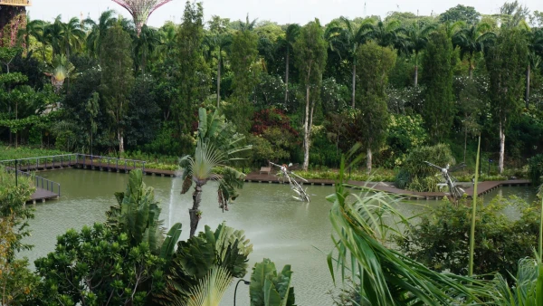 Сады Gardens by the Bay