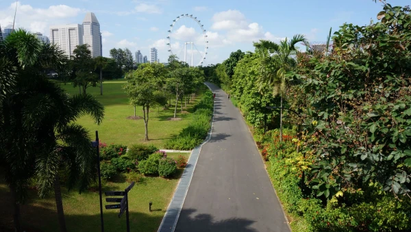 Сады Gardens by the Bay