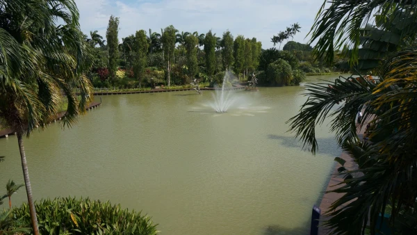 Сады Gardens by the Bay