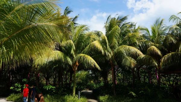 Сады Gardens by the Bay