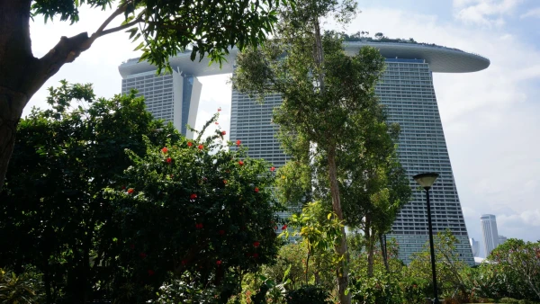 Сады Gardens by the Bay