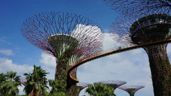 Сады Gardens by the Bay