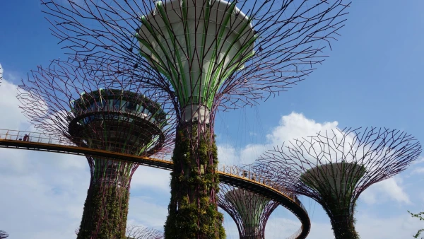 Сады Gardens by the Bay