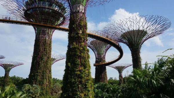 Сады Gardens by the Bay - Skyway
