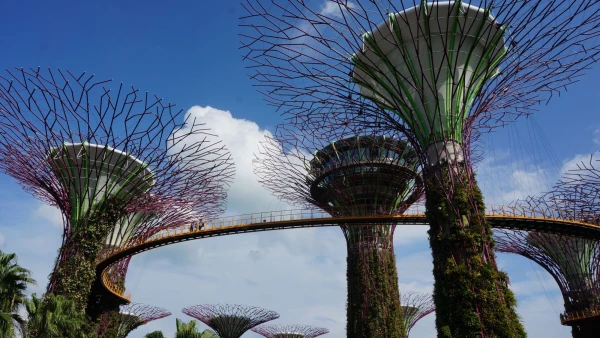Сады Gardens by the Bay - Skyway