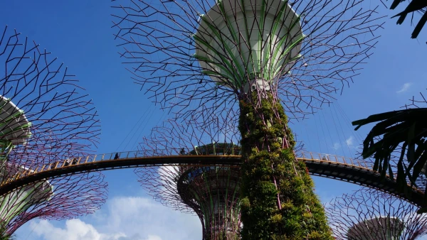 Сады Gardens by the Bay - Skyway