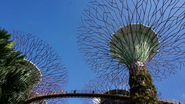 Сады Gardens by the Bay - Skyway