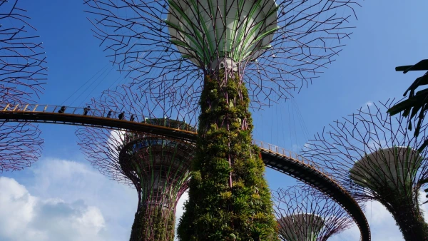 Сады Gardens by the Bay - Skyway